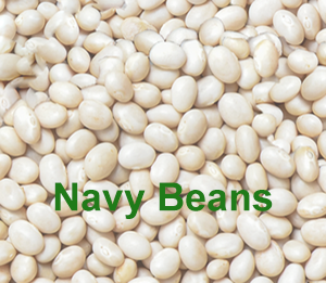 Navy Beans